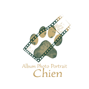 Portrait chien